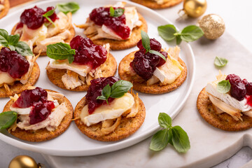 Party appetizers with turkey, brie and cranberry sauce