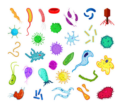 Vector collection of bacteria and viruses. Colorful icons isolated on white background.