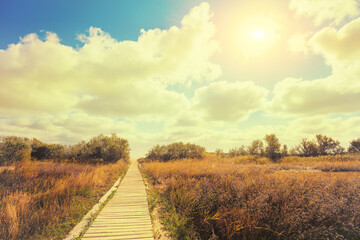Wooden pathway in an autumn park