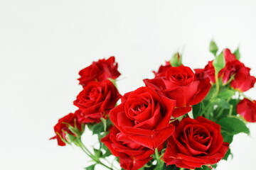 Red roses bouquet isolated on white background with copy space.Banner. Selective focus.Floral card.