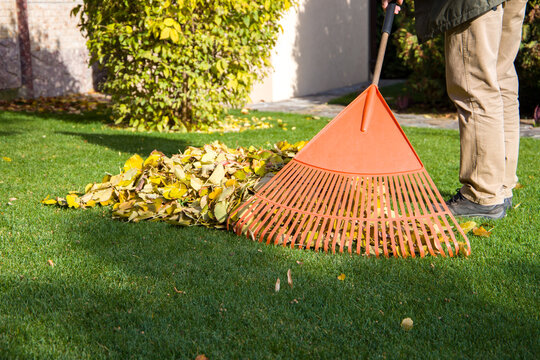 The person rakes the fallen leaves with an orange rake.