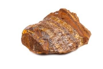 Macro mineral stone Tiger's eye in the breed on a white background