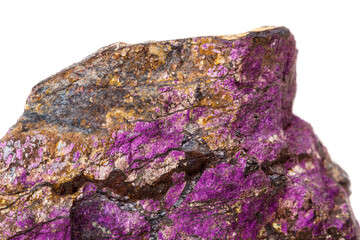 Macro mineral stone purpureus, (purple) purpurite in the breed a white background