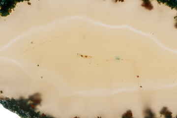 Macro mineral stone Yellow Agate breed a white background