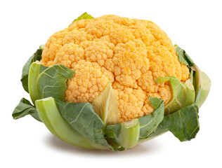 colorful cauliflower path isolated on white