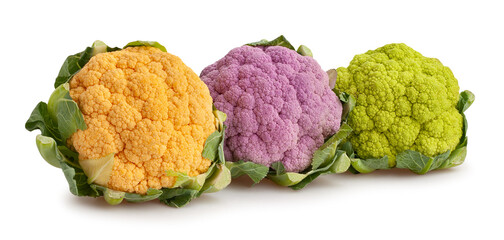 colorful cauliflower path isolated on white