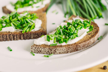 rye bread sandwiches with fresh cheeses and green onions
