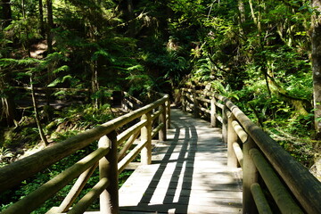 Fototapeta premium Natural wooden bridge on Capilano Pacific forest hiking trail, North Vancouver, BC, Canada.