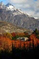 Autumn Colours in the Mountains
