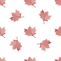 Vector seamless pattern whith dry red maple autumn foliage with white background