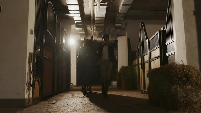 Horse and woman silhouette in barn holding a strapper while walking through the stable. Racehorse and jokey concept