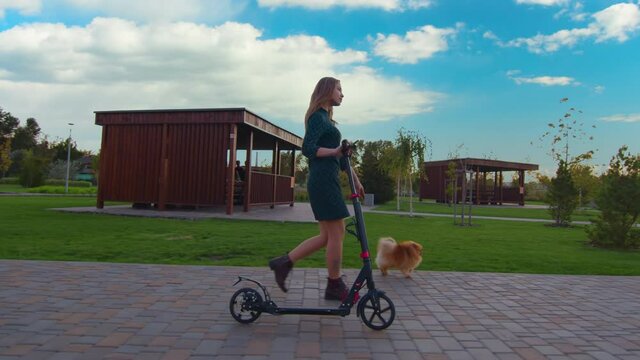 Adorable young girl walking with her cute dog shpitz in warm sunny day, slow-motion.
