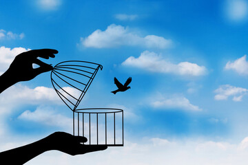 birds flying for freedom from an open cage, freedom concept, the bird released from the cage, bird set free.