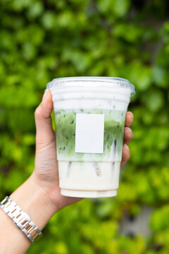 hand holding matcha green tea milk latte on tree background.vertical image