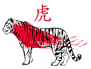 Vector illustration of a tiger in traditional Asian ink calligraphy style. Lunar New Year. Chinese Tiger ink sketch. Isolated. Hieroglyph translation - TIGER