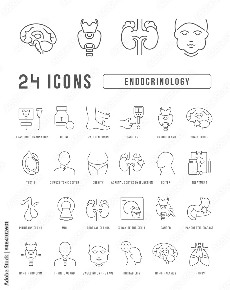 Poster endocrinology. collection of perfectly thin icons for web design, app, and the most modern projects.