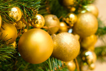 Fototapeta na wymiar Christmas tree decorated with golden balls