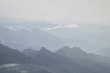 landscape with fog