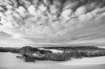 chmury i las w zimie