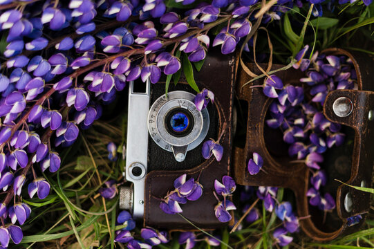 Vintage camera in purple flowers. Old camera in shades of picturesque nature.