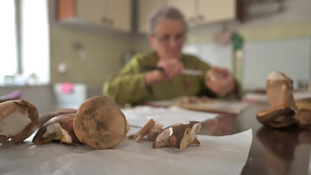 Lavorazione funghi porcini