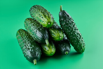 Set of fresh whole cucumbers isolated on a green background, clipping path. Garden cucumber wallpaper backdrop design