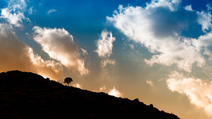 silhouette lonely tree on hillside at sunset. Taurus Mountains in Turkey