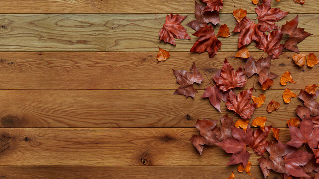 Autumn flat lay with leaves. Thanksgiving concept with copy space.