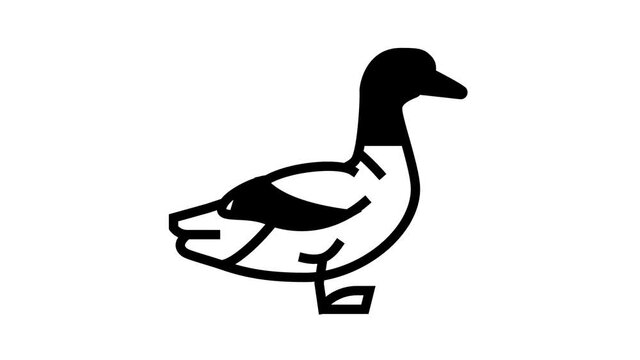 duck bird animated line icon. duck bird sign. isolated on white background