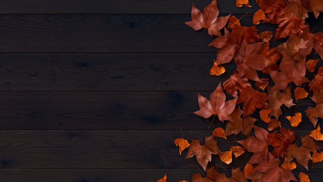 Fall Background.