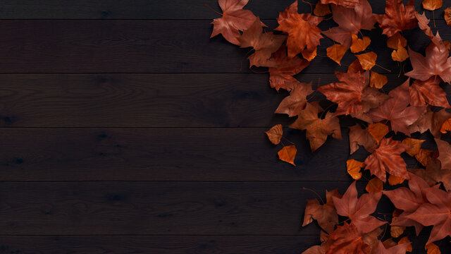 Fall Background.