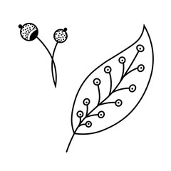 Floral graphic element vector. Leaf, a part of plant, hand drawn illustration. Clipart for design.
