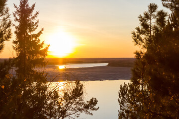 Picnic in nature. Bonfire on evening. Close up