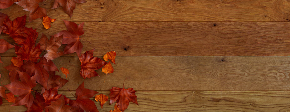Seasonal Background, with Fall Leaves on Natural wood Surface. Thanksgiving Concept with copy space.