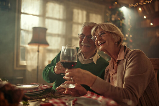Adorable senior couple toasting with red wine