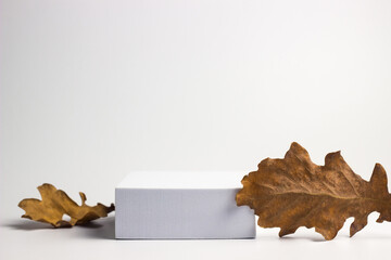 white rectangular box with shadows on a light white background. For cosmetics or cosmetology background. stand for advertising beauty products. autumn, yellow oak leaves