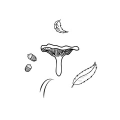 Hand drawn forest mushroom Chanterelle, around bunch of decor pine needles, acorns, tree leaves. Vector drawing in style of doodles, on white background black outline, for design.