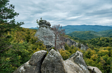 Mountain landscape. The Rocks of Dovbush. Carpathians, Ukraine.