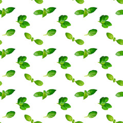 Creative seamless pattern of fresh green basil leaves isolated on white background. Top view. Flat lay