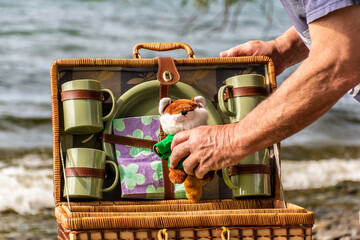 person with a picnic basket