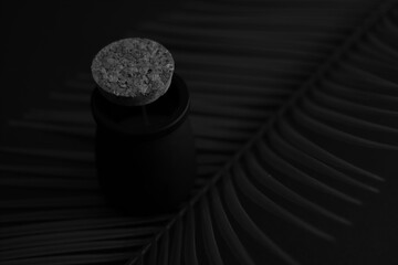 Leaf black and white 