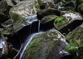 Naklejka na ściany i meble Waterfall on river Ilse in forest Harz, Germany