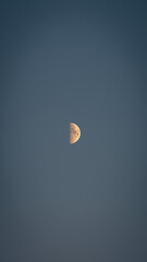 Half moon in the sky