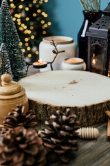 Winter Christmas Holiday Decoration