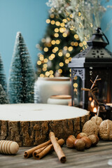 Winter Christmas Holiday Decoration