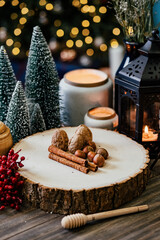 Winter Christmas Holiday Decoration