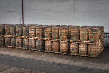 Rows of large wooden barrels on pallets with whiskey or wine ready for transportation in Bushmills town, Northern Ireland