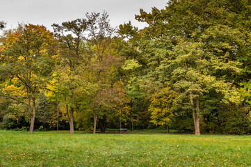 jesienny park z kolorowymi liśćmi na Wyspie Bolko w Opolu © Henryk Niestrój