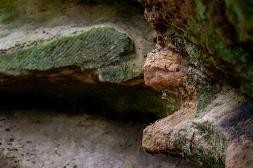 Sandstone rocks with green vegetation