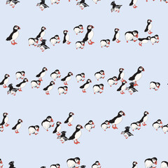 Vector blue background ocean seabird, arctic birds, puffins. Seamless pattern background